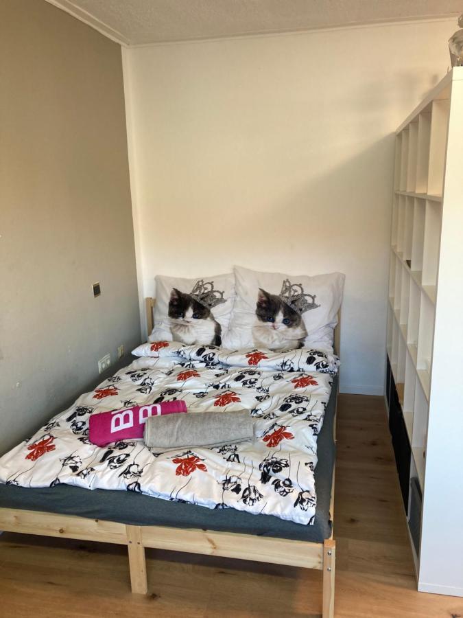 Privatzimmer In Muenchen Zentrum Ngoại thất bức ảnh